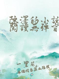 陈泽的小说免费阅读无弹窗