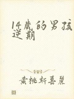 14岁的男孩叛逆期
