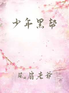 少年黑帮