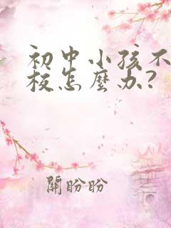初中小孩不去学校怎么办?