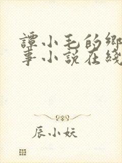 谭小毛的乡村韵事小说在线阅读