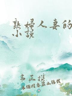 熟妇人妻的堕落小说