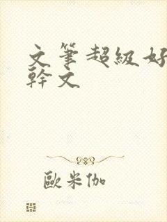 文笔超级好的高干文