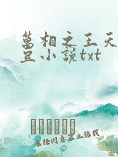 万相之王天蚕土豆小说txt