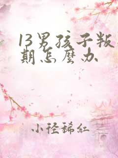 13男孩子叛逆期怎么办