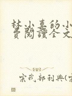 林小喜的小说免费阅读全文