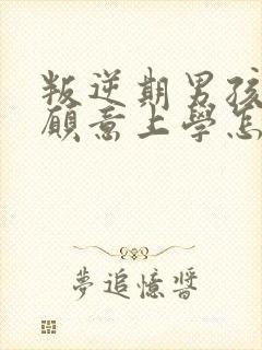 叛逆期男孩子不愿意上学怎么办