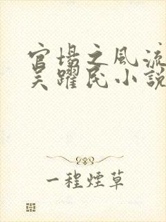 官场之风流医少吴跃民小说最新章节