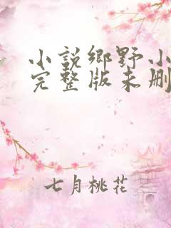 小说乡野小傻医完整版未删减小说