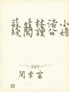 苏晴林浩小说在线阅读公媳乱了小说阅读网