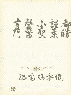 有声小说都市奇门医圣叶皓轩