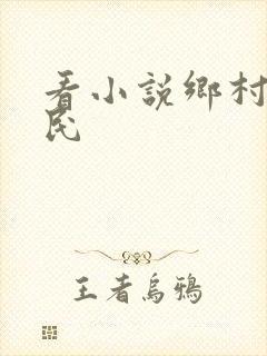 看小说乡村小农民