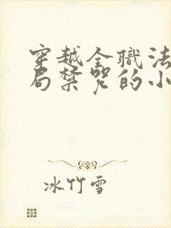 穿越全职法师开局禁咒的小说