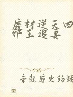 废材逆天四小姐邪王追妻