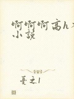 啊啊啊高h不要小说