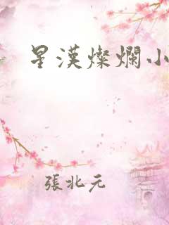 星汉灿烂小说