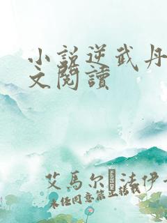 小说逆武丹尊全文阅读
