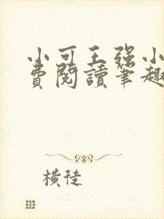 小可王强小说免费阅读笔趣阁
