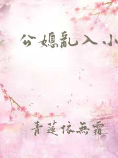 公媳乱入小说