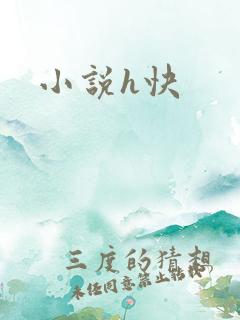 小说h快