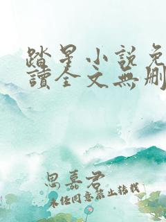 踏星小说免费阅读全文无删减