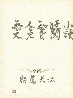 无人知晓小说全文免费阅读