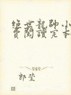 绝世龙帅小说免费阅读完本