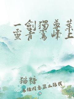 一剑独尊叶玄叶灵青鸾峰上