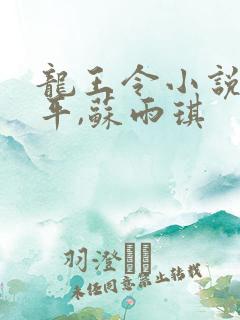 龙王令小说,陈平,苏雨琪