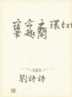 宿命之环txt笔趣阁