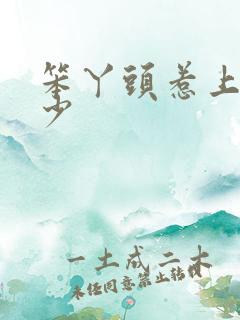笨丫头惹上拽恶少