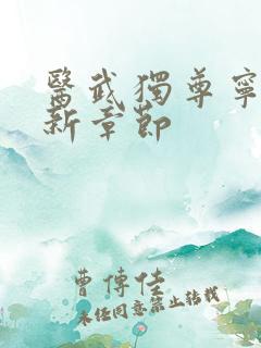 医武独尊宁天最新章节