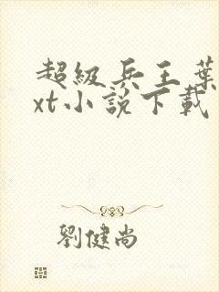 超级兵王叶谦txt小说下载