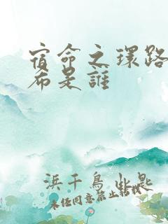 宿命之环路德维希是谁