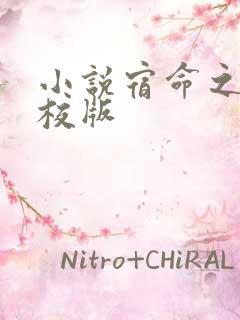 小说宿命之环精校版