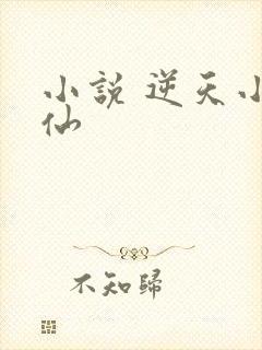 小说 逆天小医仙