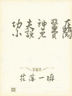 功夫神医在都市小说免费阅读全文