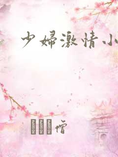 少妇激情小说网