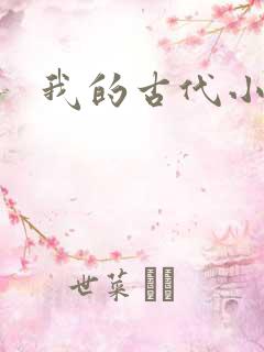 我的古代小夫侍