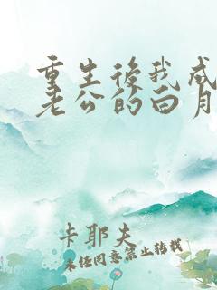 重生后我成了渣老公的白月光小说