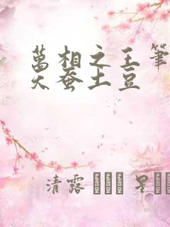 万相之王笔趣阁天蚕土豆