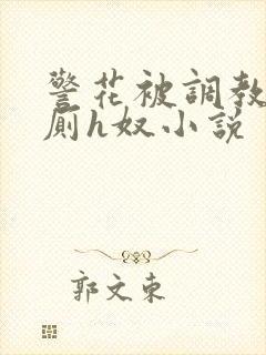 警花被调教成公厕h奴小说