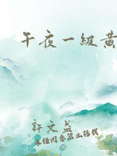 午夜一级黄色