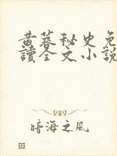 黄蓉秘史免费阅读全文小说