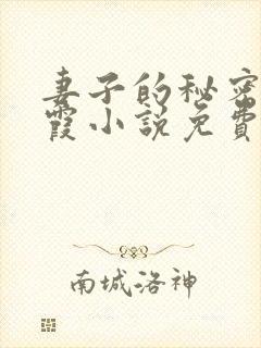 妻子的秘密韩晴霞小说免费阅读