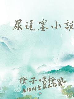 尿道塞小说