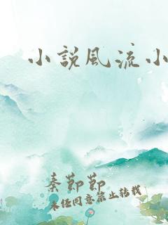 小说风流小农民