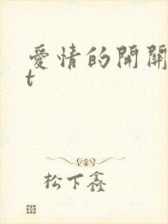 爱情的开关txt