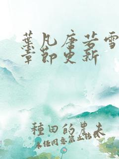叶凡唐若雪最新章节更新