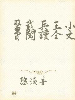 医武兵王小说免费阅读全文